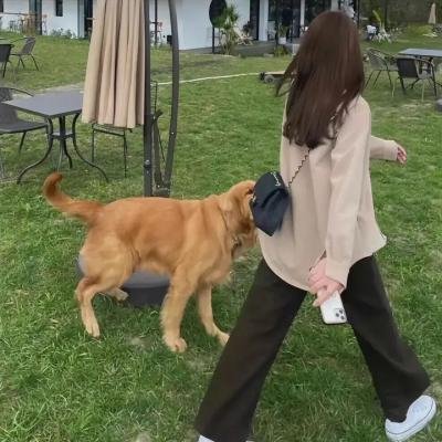 出云之月
